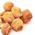 Agaricus blazei powder